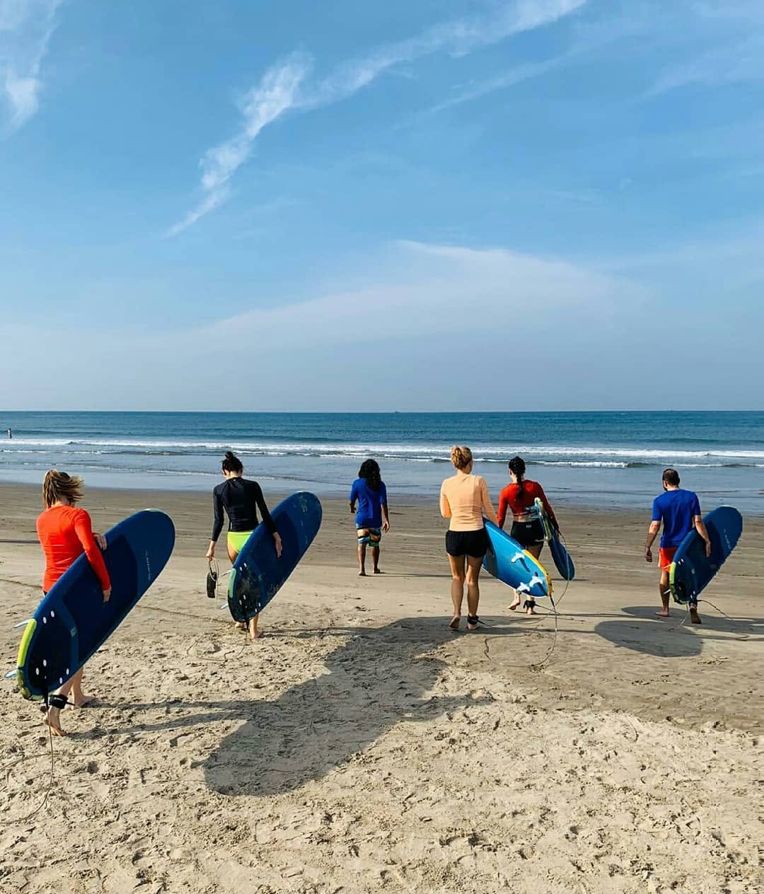 Octopus Surf School